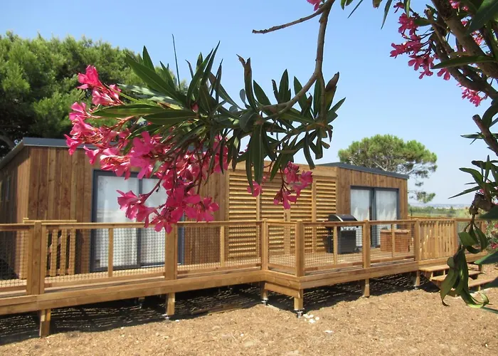 Viglamo Domaine Presqu'ile De La Franqui